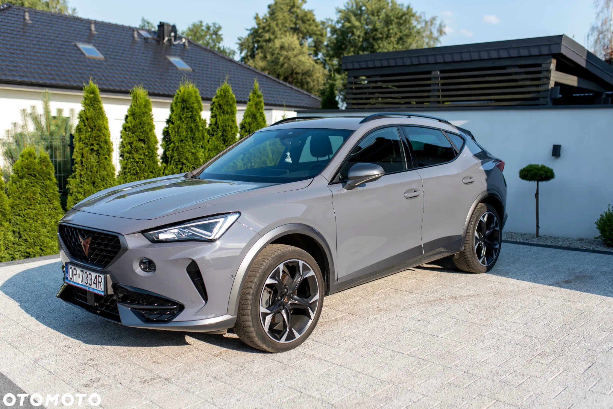 Cupra Formentor 2.0 TSI 4Drive DSG - 2