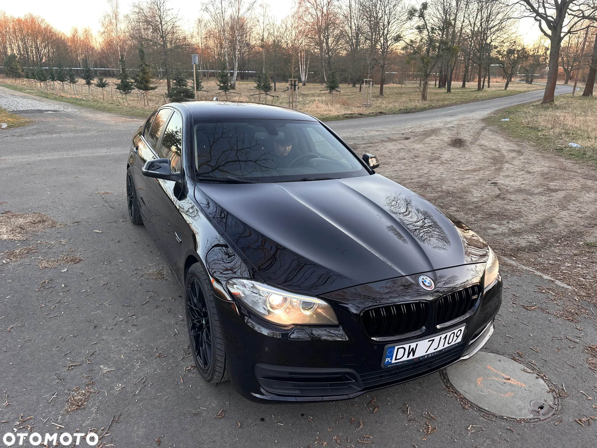 BMW Seria 5 518d Luxury Line - 3