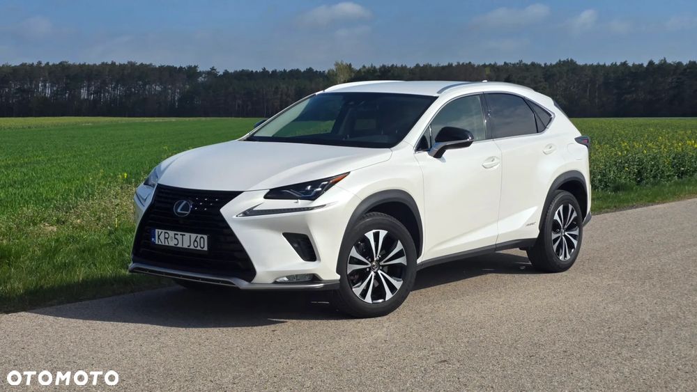 Lexus NX 300h F Impression AWD - 2