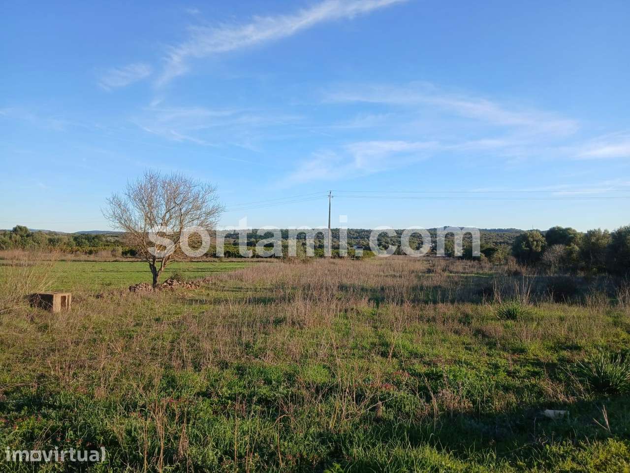 Terreno Rústico  Venda em São Bartolomeu de Messines,Silves - Grande imagem: 5/5