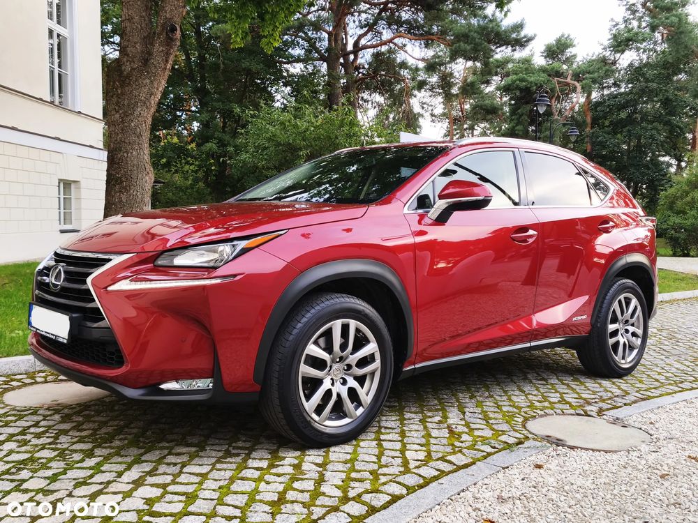 Lexus NX 300h Comfort AWD - 17
