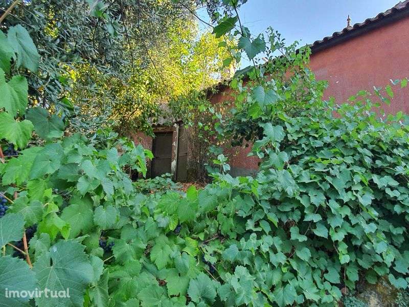 Vendo Casa em Pucariço - Proença-a-Nova, Distrito de Castelo Branco - Grande imagem: 4/10