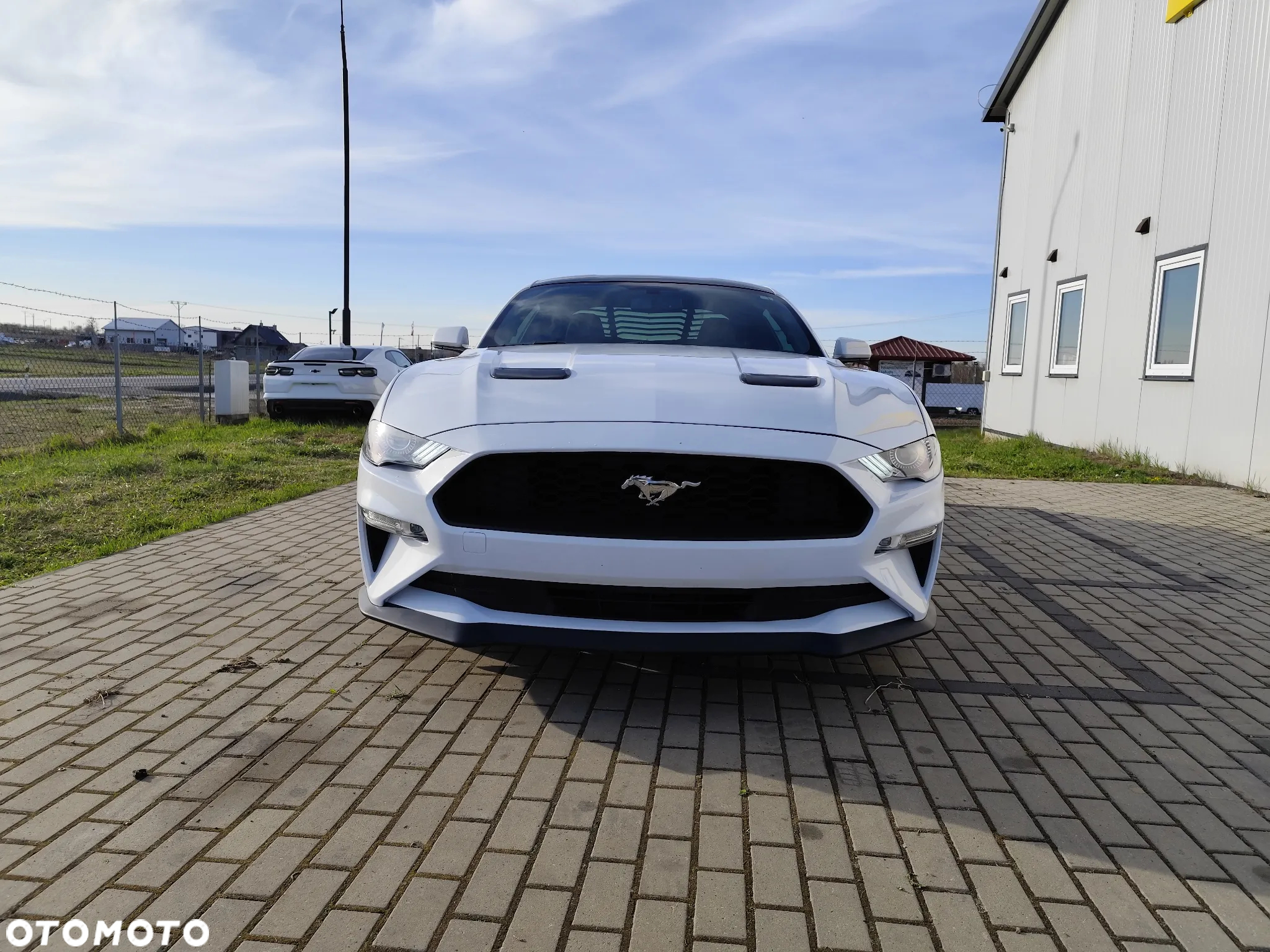 Ford Mustang - 2