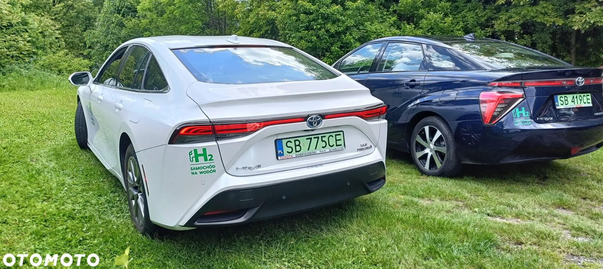 Toyota Mirai Standard - 18