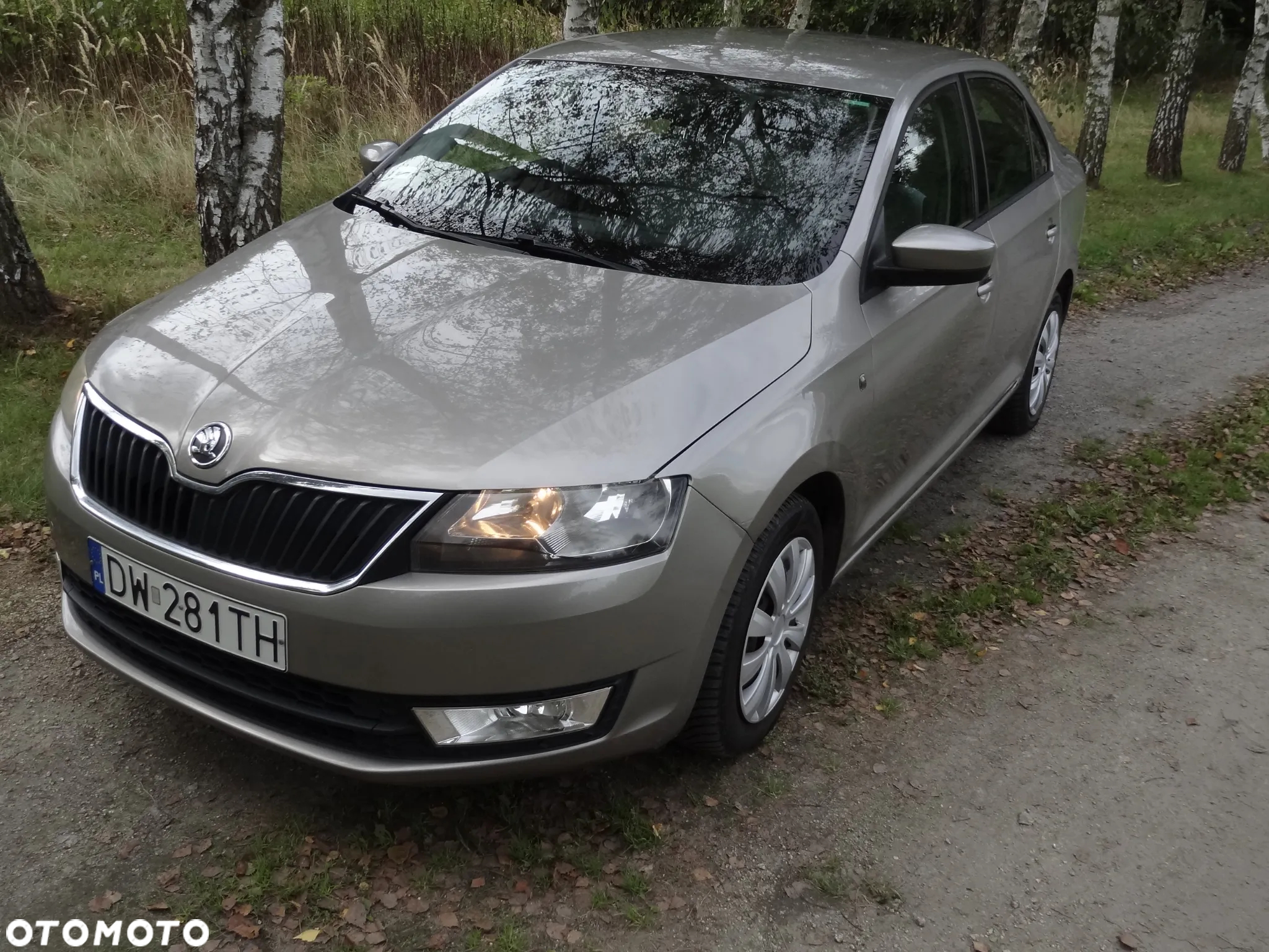 Skoda RAPID 1.2 TSI Active - 15