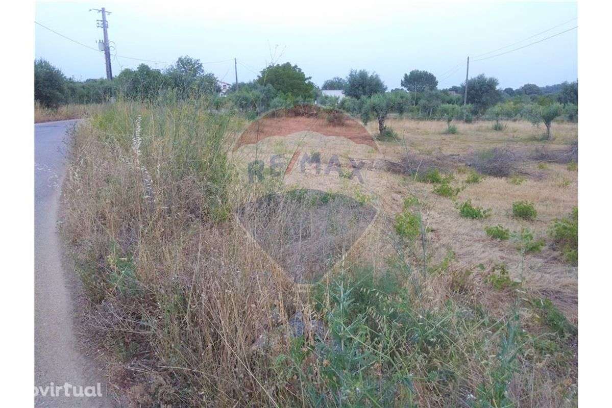 Terreno  para venda - Grande imagem: 3/4