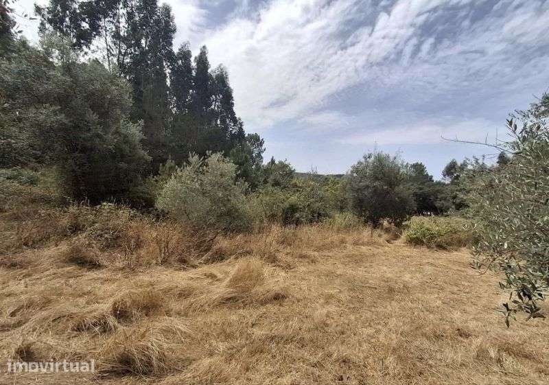 Terreno Rústico com água, 800m2 em Boliquieme - Grande imagem: 4/4