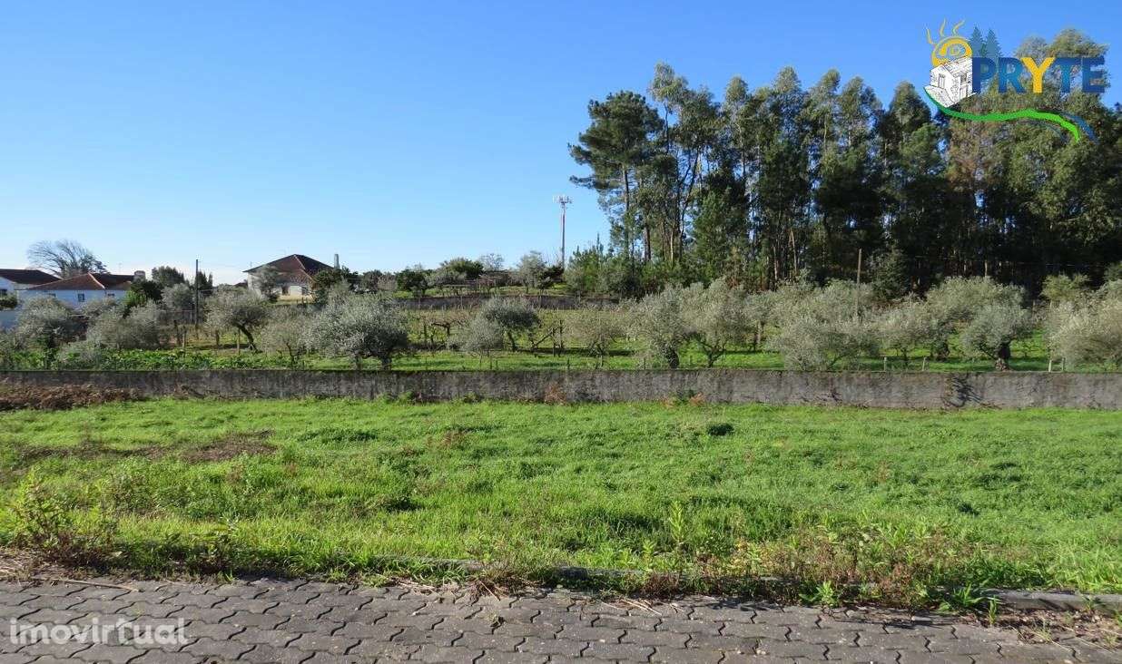 Lote para construção de moradia situado em Cernache do Bonjardim - Grande imagem: 3/5