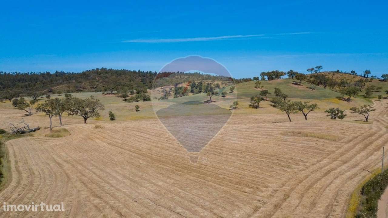 Quinta  para venda - Grande imagem: 2/30