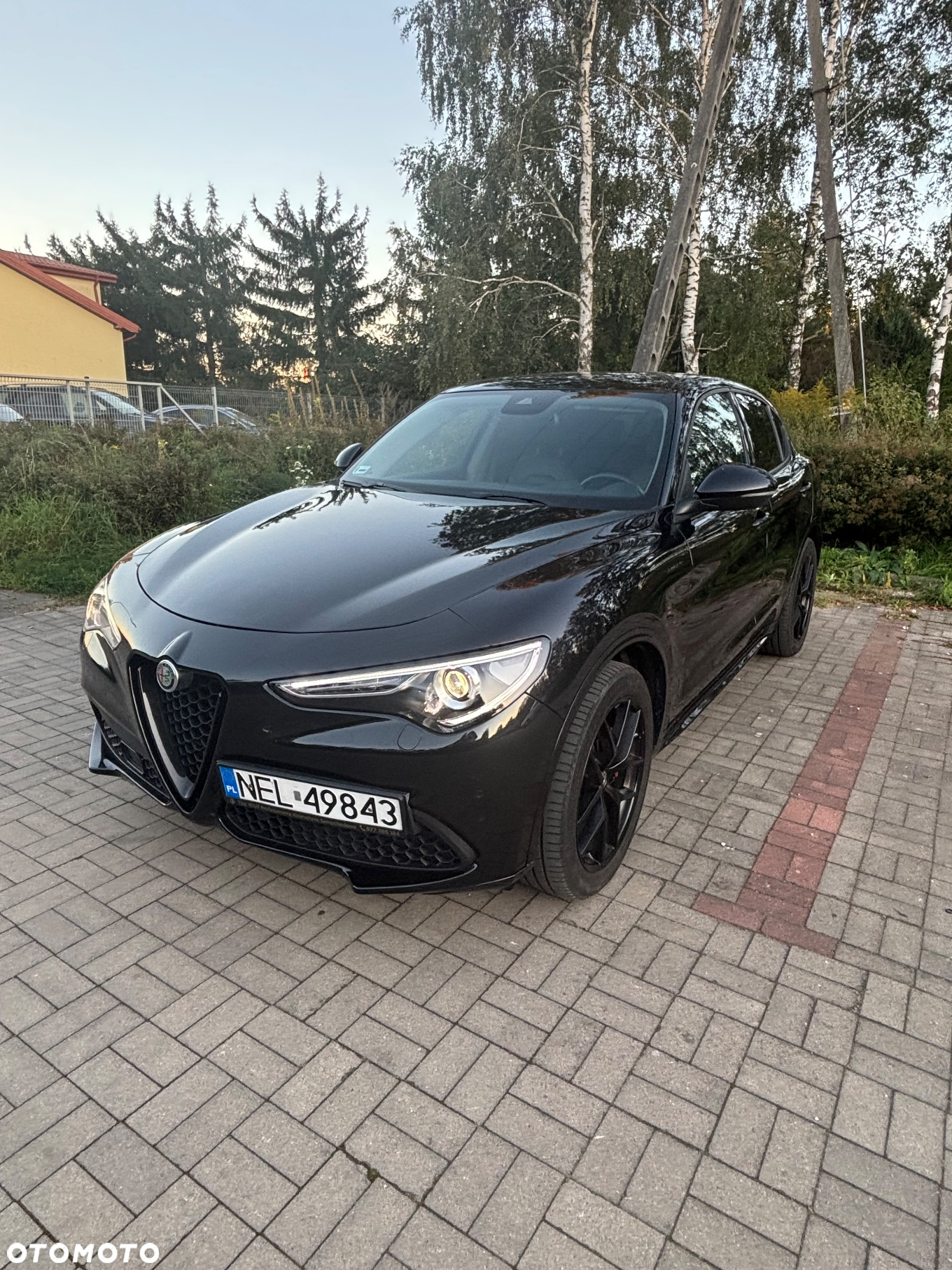 Alfa Romeo Stelvio 2.0 Turbo Veloce Q4 - 8