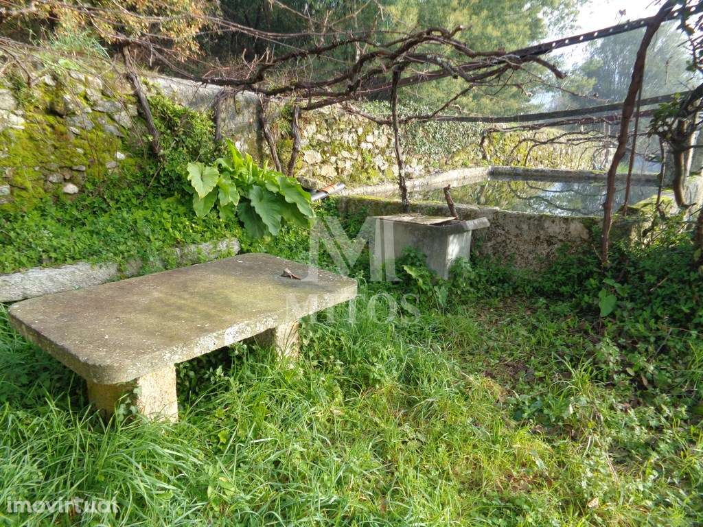 QUINTA - Serreleis, Viana do Castelo - Grande imagem: 5/13