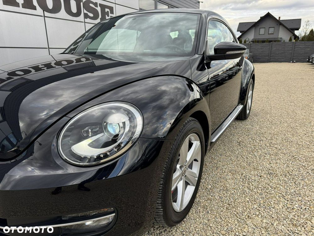 Volkswagen Beetle - 13