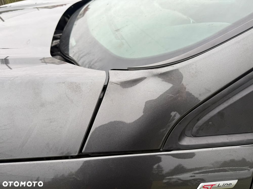 Ford Edge 2.0 EcoBlue Bi-Turbo 4x4 ST-LINE - 19