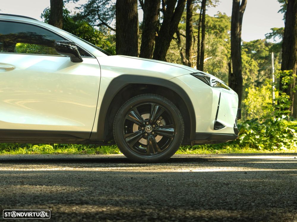 Lexus UX 250h Special Edition (LCA) - 17