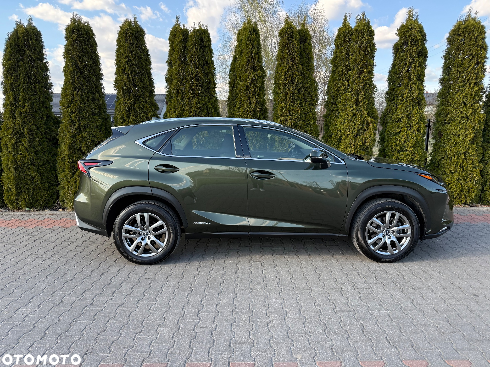 Lexus NX - 10