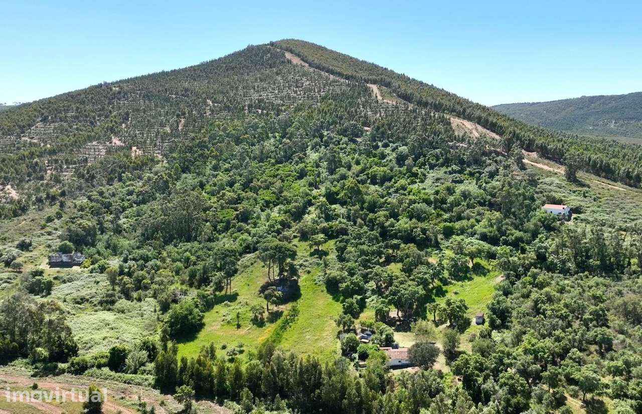 Monte na serena Serra d'Ossa com 11ha e 3 casas rústicas - Grande imagem: 2/18
