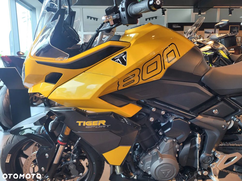 Triumph Tiger - 5