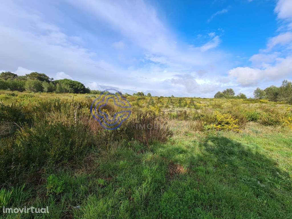 Terreno - 11.560m2 - Perto do Autódromo Estoril - Cascais - Grande imagem: 3/14