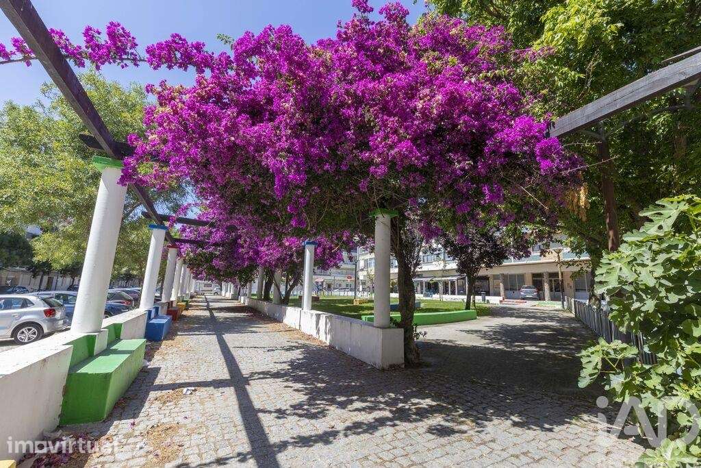 Apartamento T2 em Costa da Caparica de 70 m2 - Grande imagem: 3/24