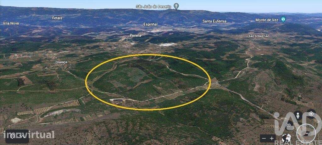 Terreno Agrícola em São Miguel, Santa Eufémia e Rabaçal de 69250,00 m2 - Grande imagem: 5/5