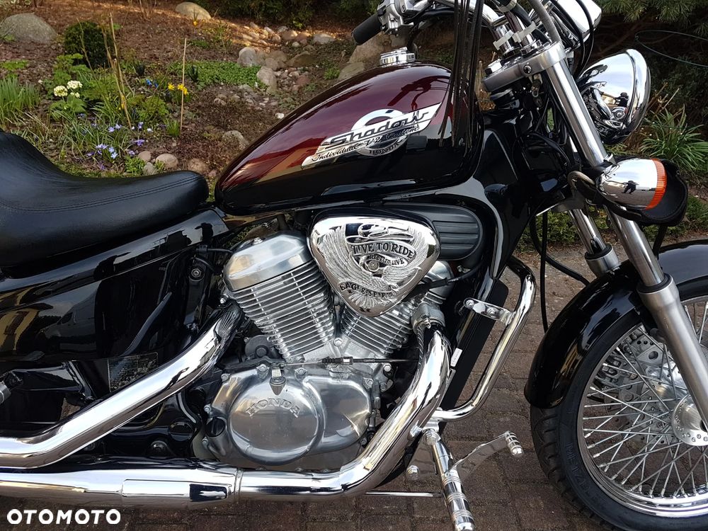 Honda Shadow - 3