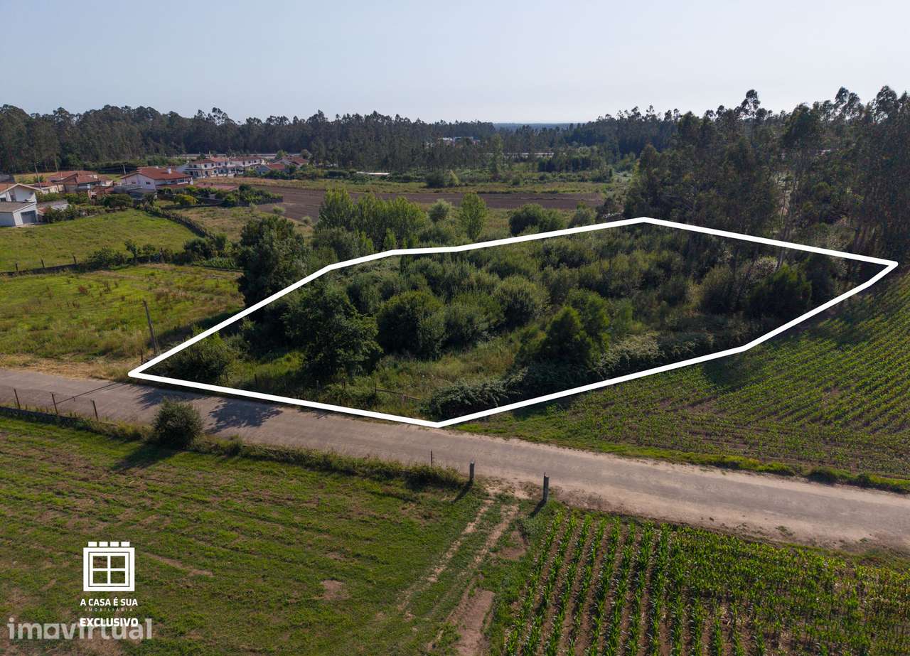 Terreno agrícola com 6.050 m² em Arada, Ovar - Exclusivo - Grande imagem: 3/23