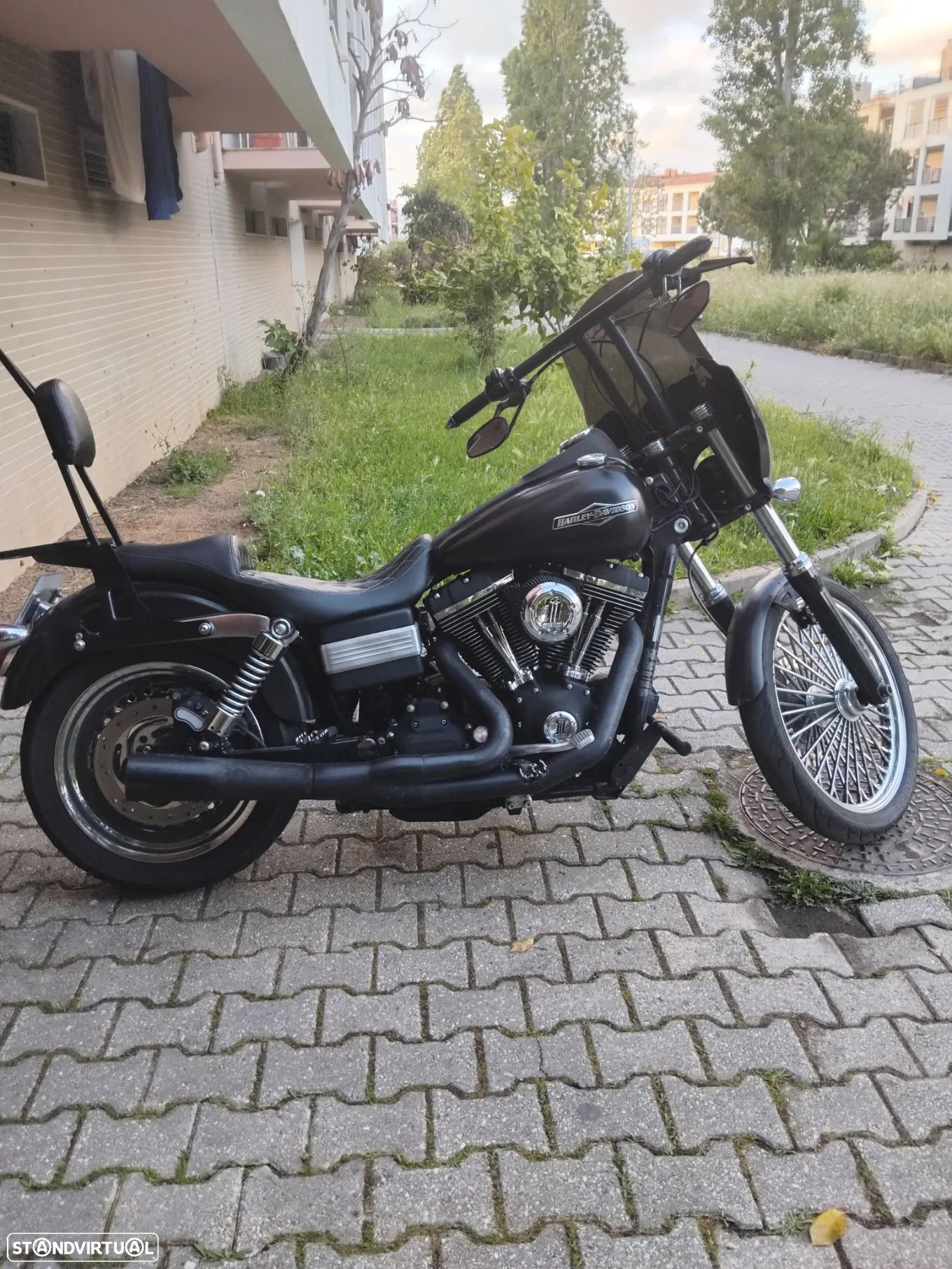 Harley-Davidson Street - 1