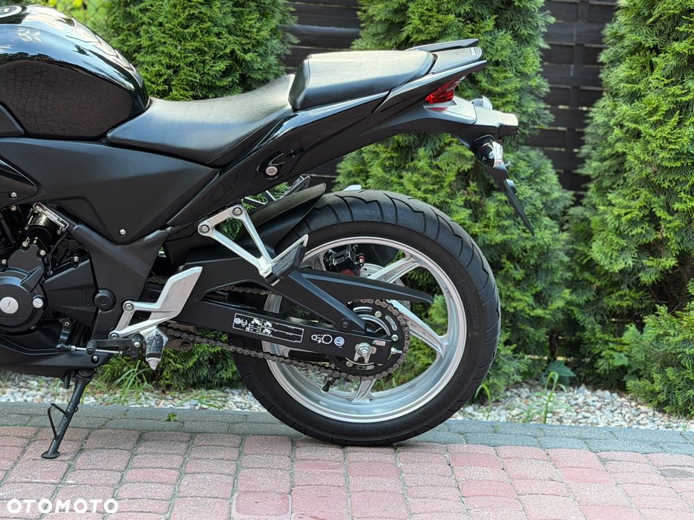 Honda CBR - 19