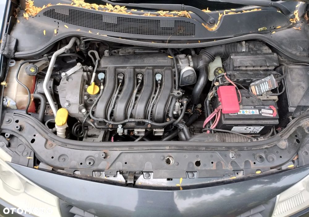 Renault Megane - 19