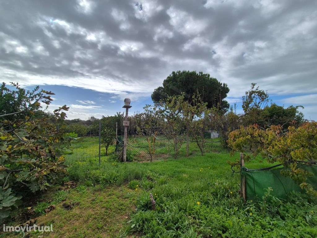 TERRENO PRONTO A USAR - RÚSTICO, PRÓXIMO À VILA SOL - Grande imagem: 3/41