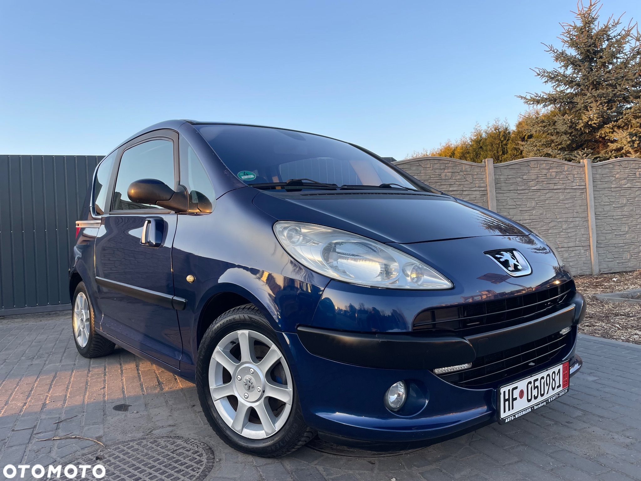 Peugeot 1007 - 3