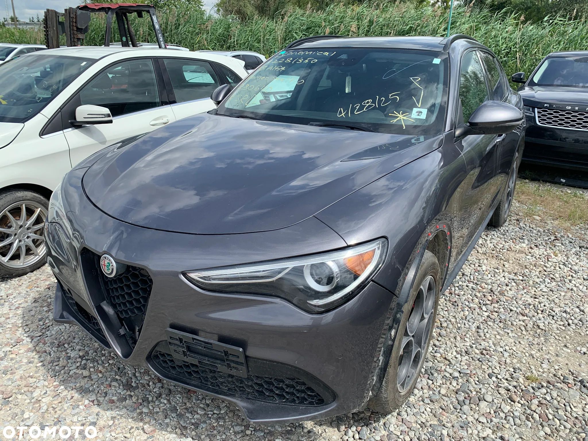 Alfa Romeo Stelvio 2.0 Turbo TI Q4 - 1