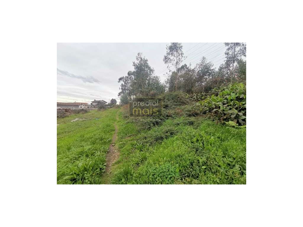 Terreno c/ 5.000 m2 - Pedome - Grande imagem: 2/2