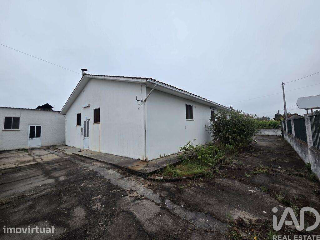 Ateliê em Pinheiro de Ázere de 400 m2 - Grande imagem: 3/22