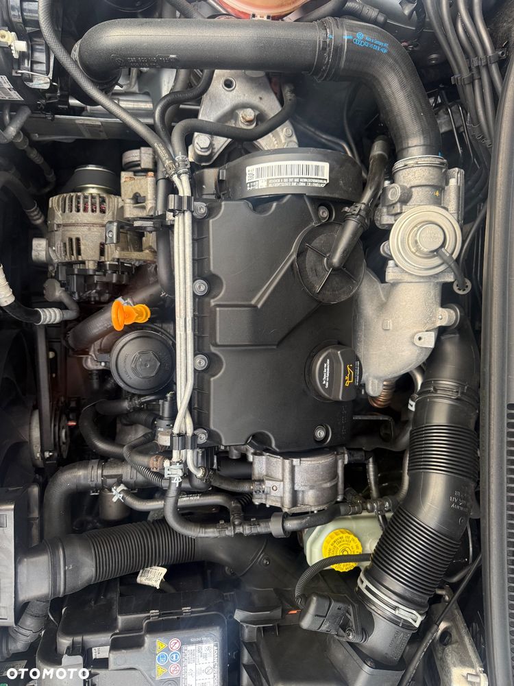 Seat Ibiza 1.4 TDI Cool - 32