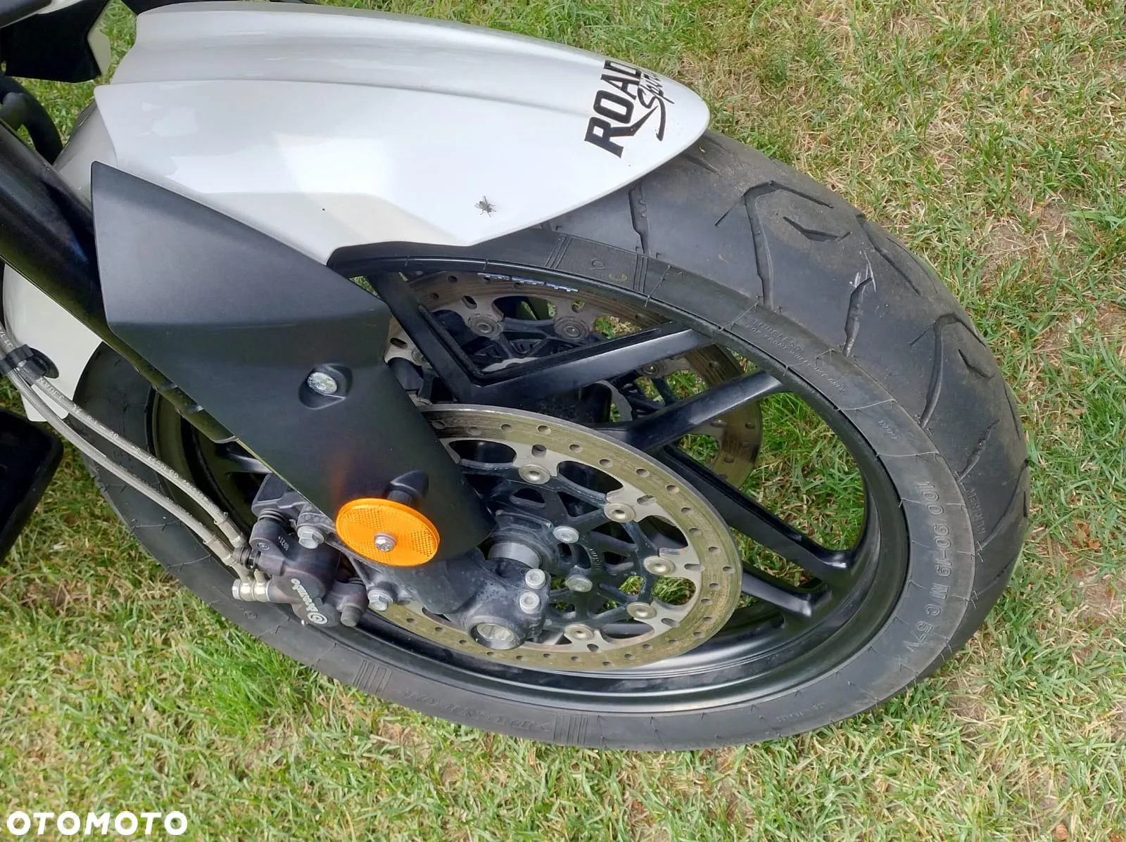Suzuki DL - 5