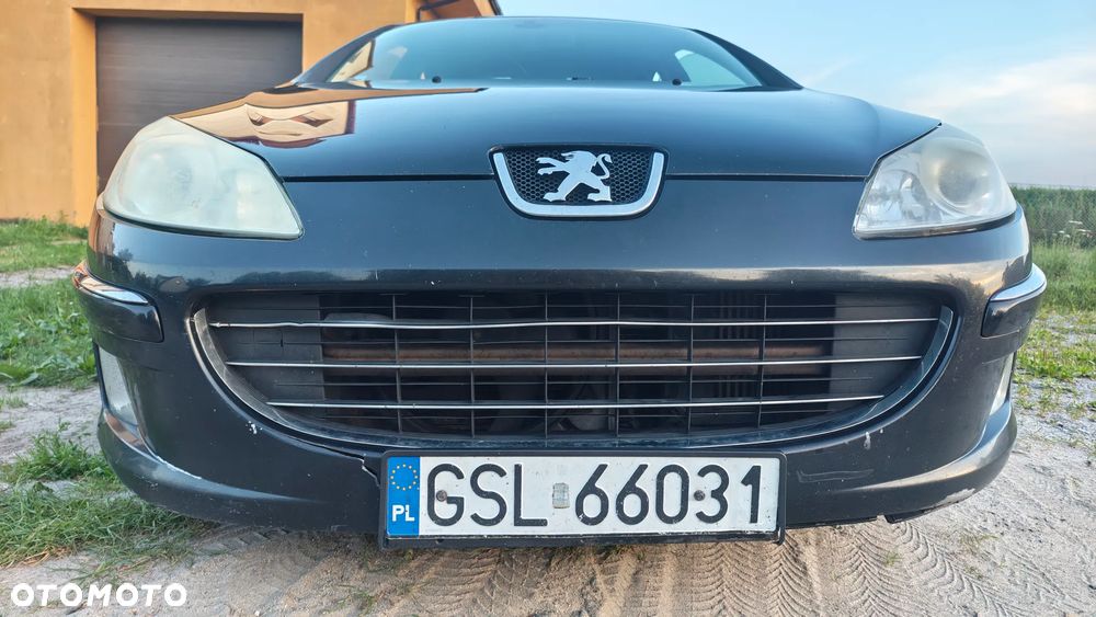 Peugeot 407 - 8