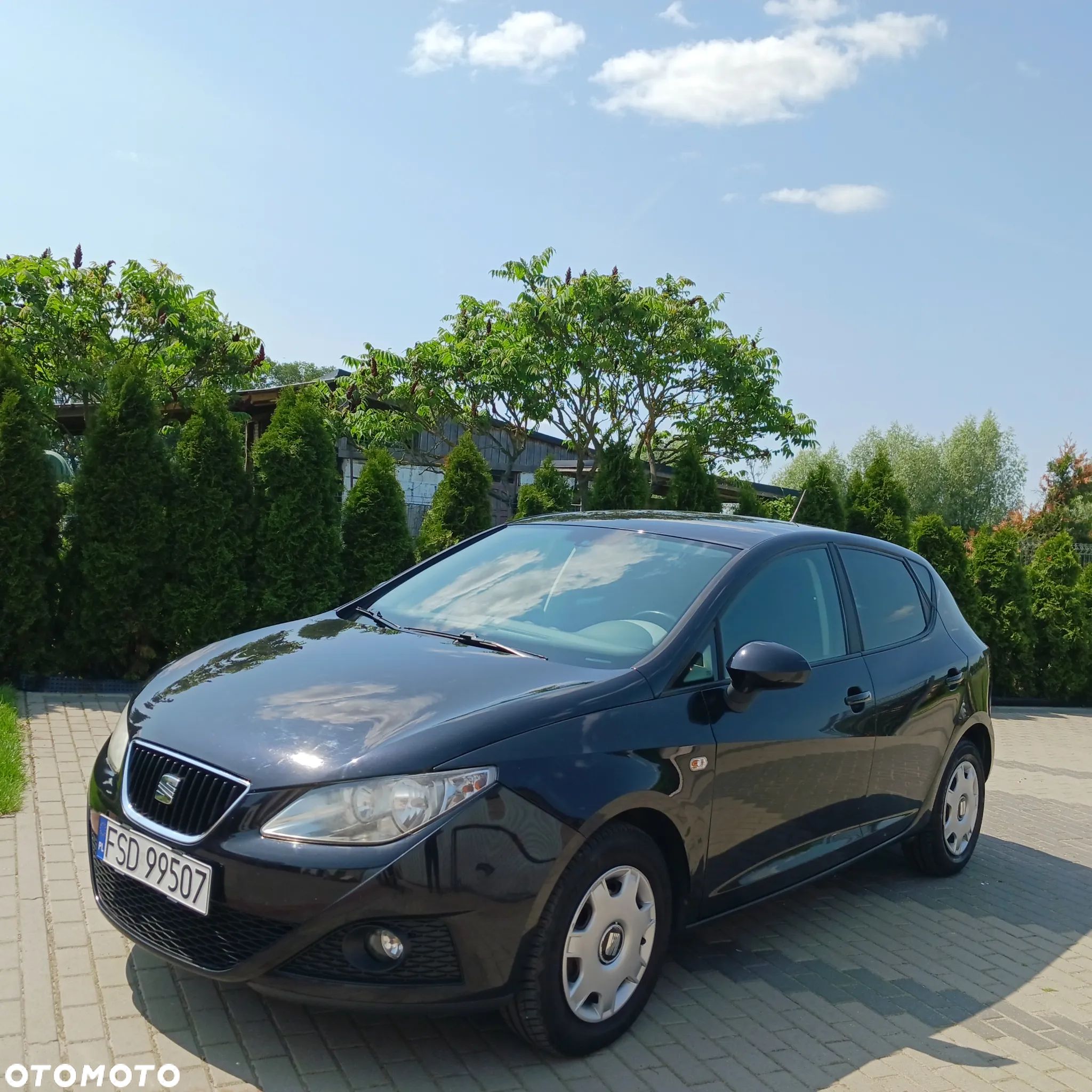 Seat Ibiza - 1