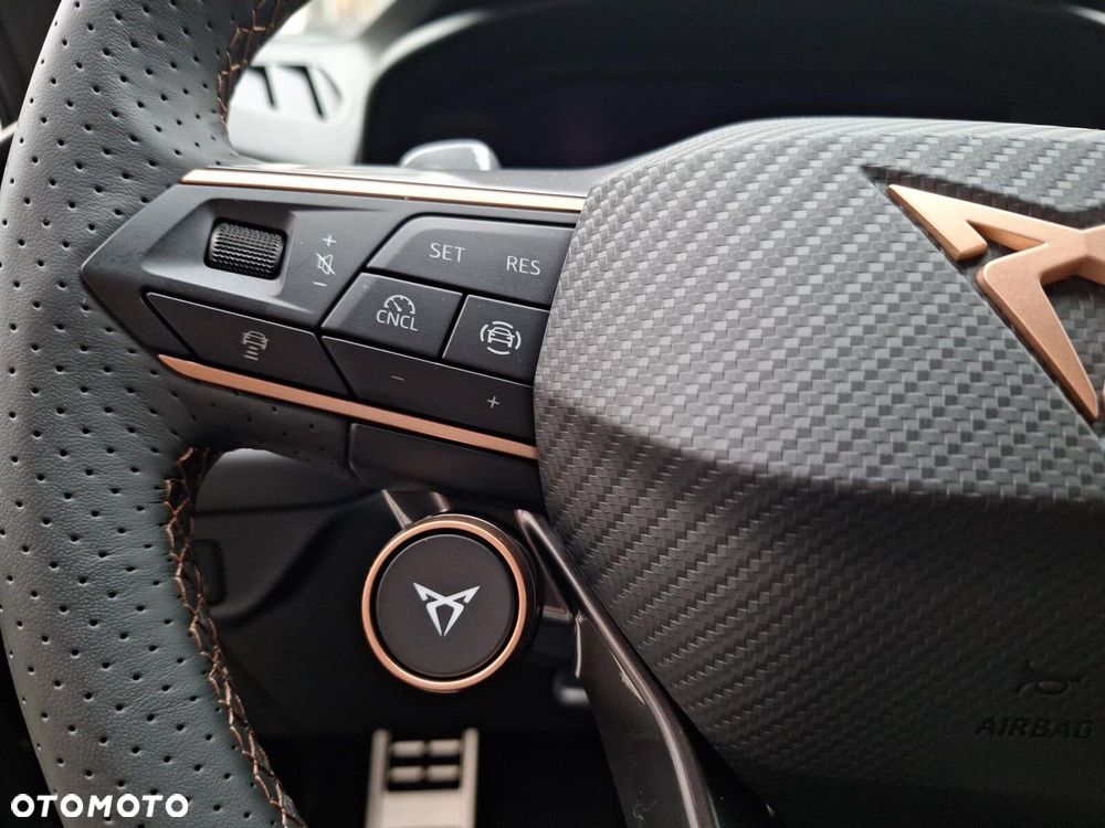 Cupra Terramar - 16