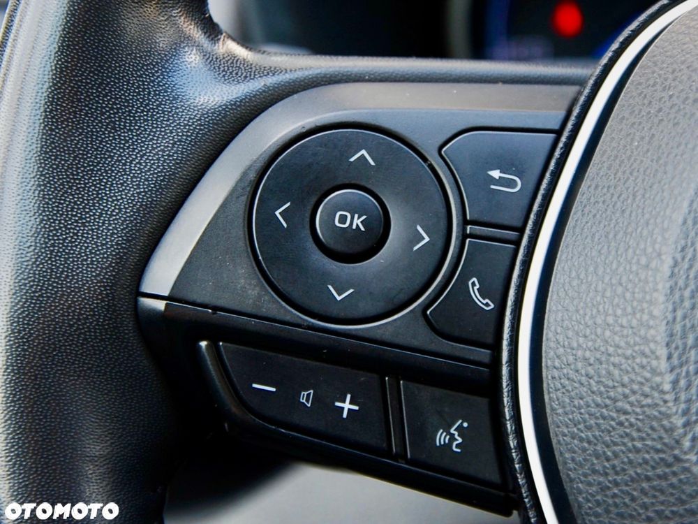 Toyota RAV4 2.5 Hybrid Executive 4x4 - 30
