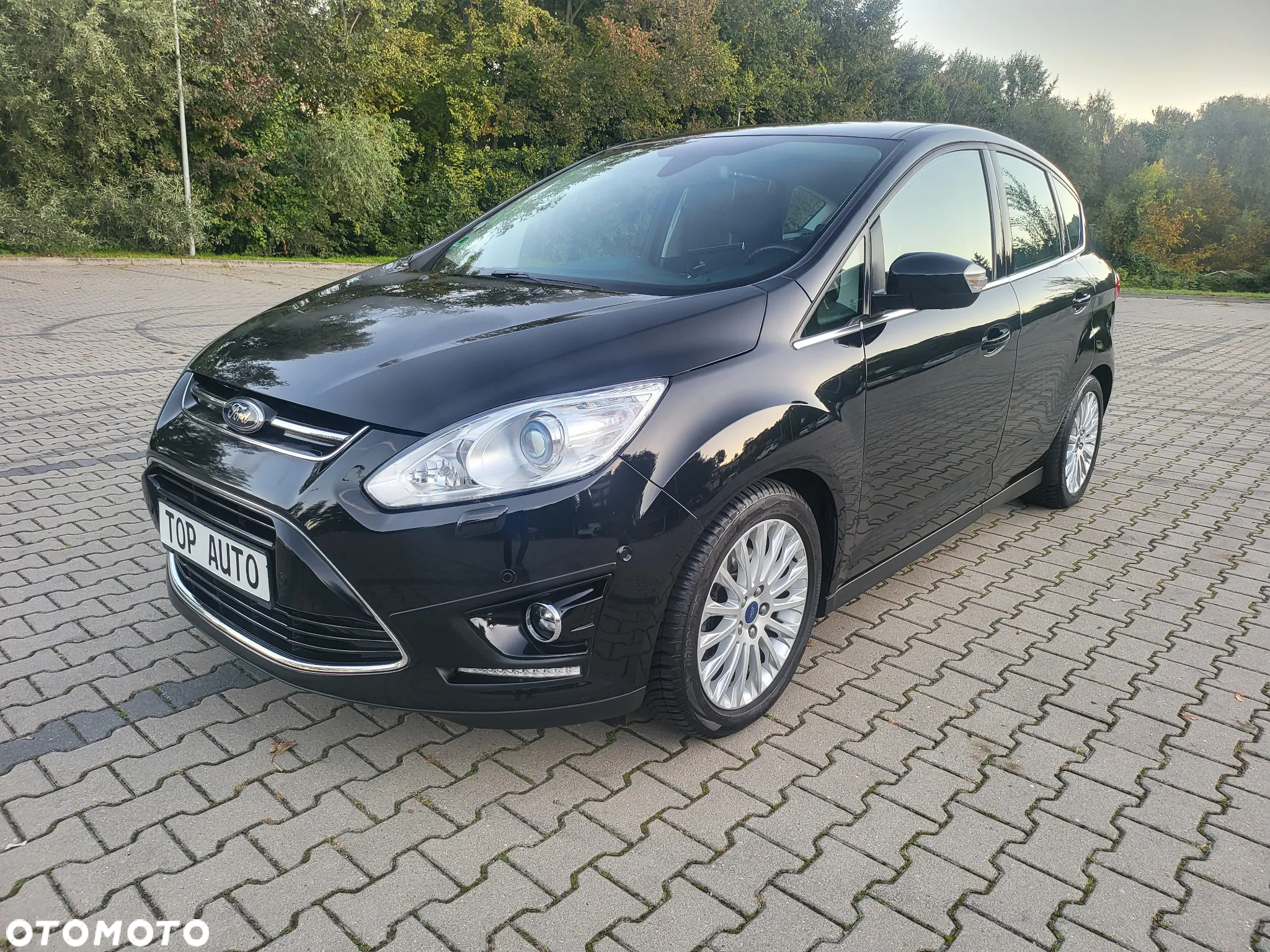 Ford C-MAX 2.0 TDCi Titanium - 2
