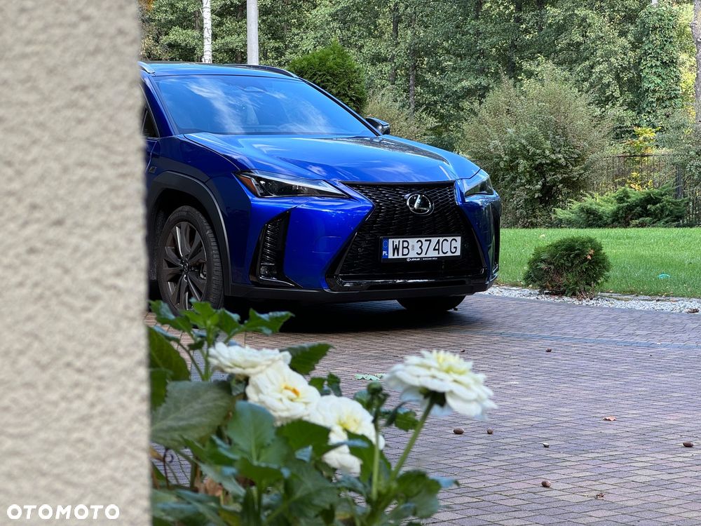 Lexus UX - 4