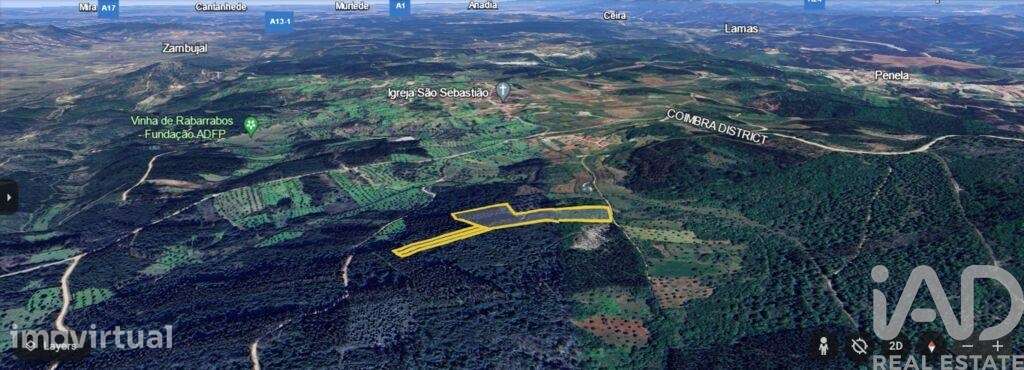 Terreno Agrícola em Alvorge de 7090,00 m2 - Grande imagem: 2/9