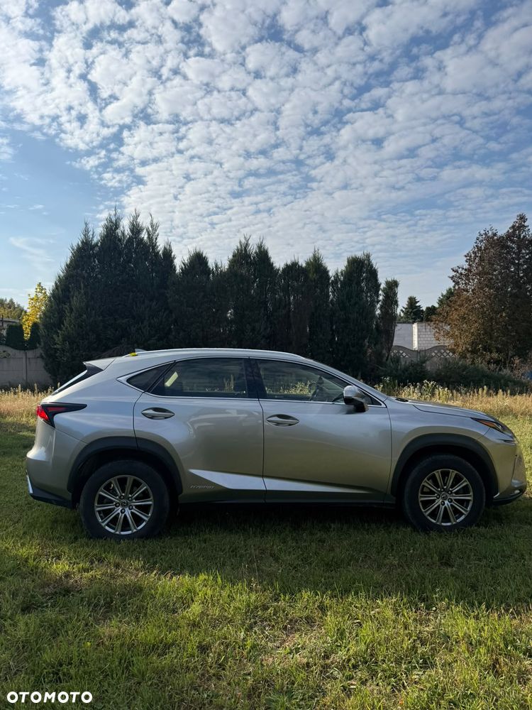 Lexus NX - 8