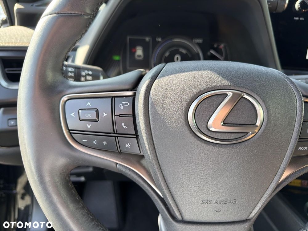 Lexus UX 250h GPF F Sport Design 2WD - 23