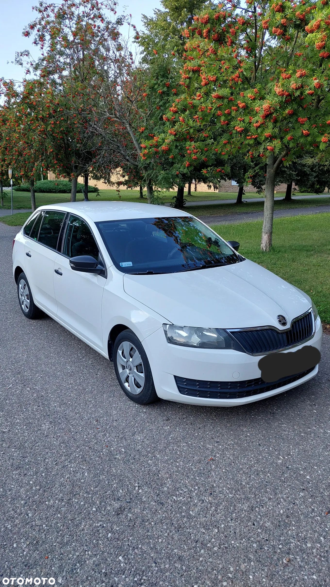 Skoda RAPID 1.4 TDI DPF Active - 1