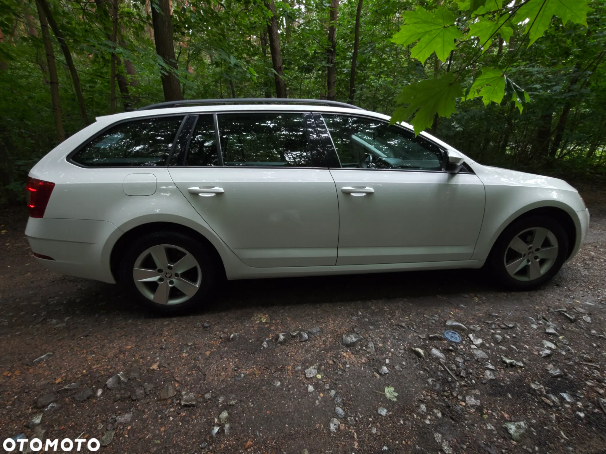 Skoda Octavia 1.6 TDI Ambition - 5
