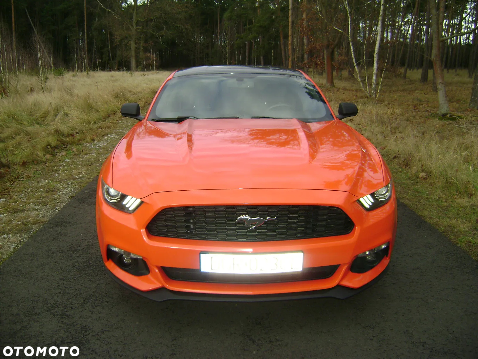 Ford Mustang 3.7 V6 - 3
