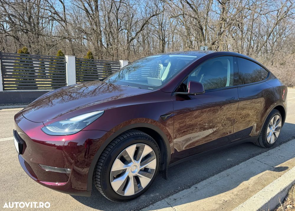 Tesla Model Y - 6