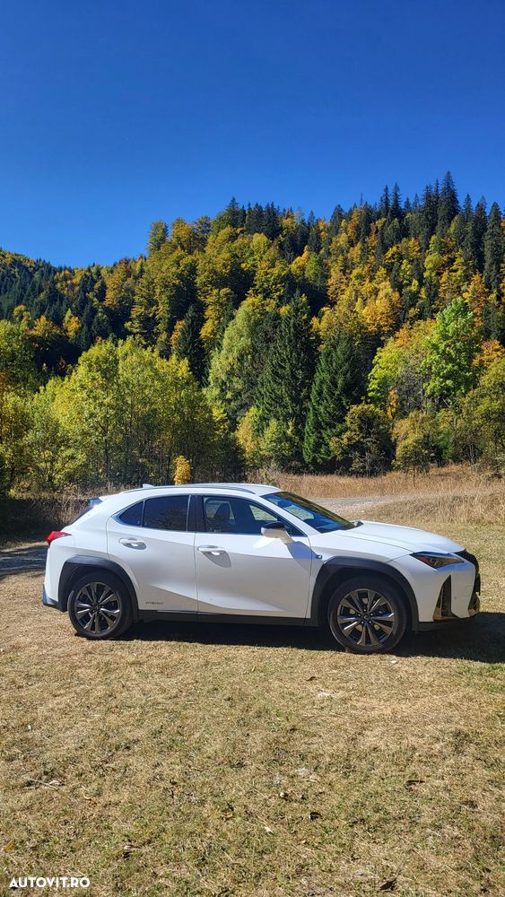 Lexus UX 250h 2.0L HEV 20H- (178 HP) 4X4 CVT F Sport - 6